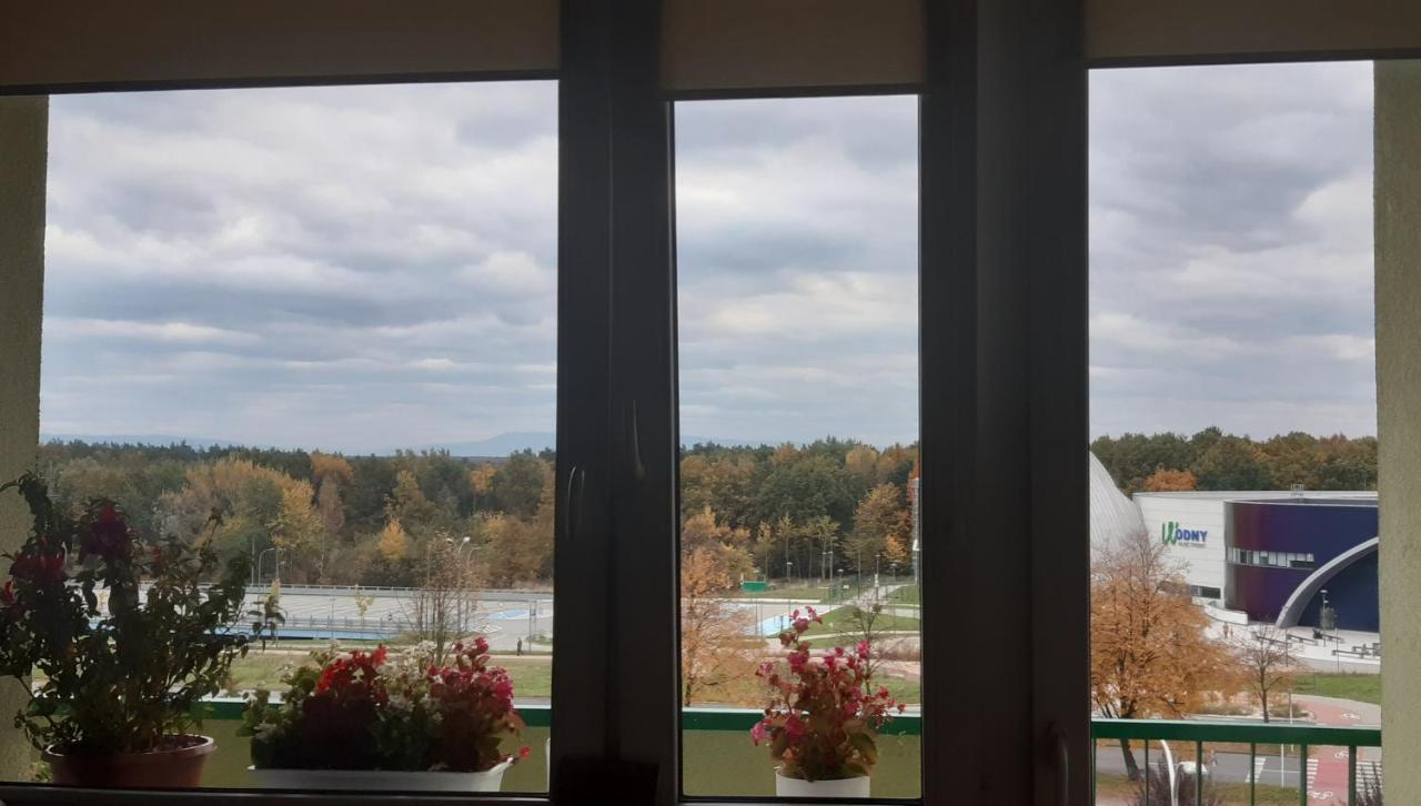 View Apartament *